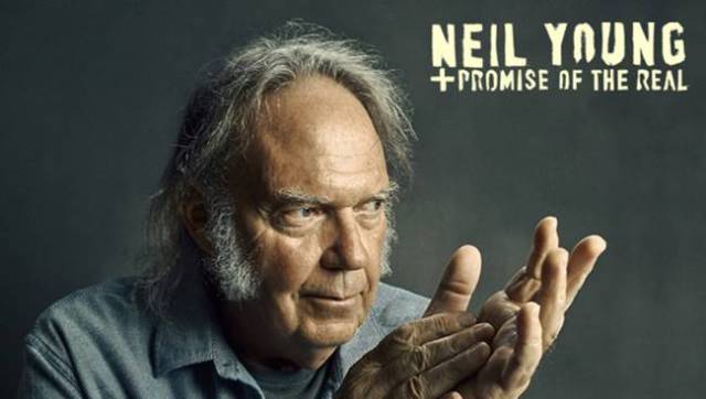 neil young3