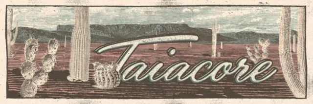 Taiacore publicó en Octubre su primer disco ¨Innocent¨