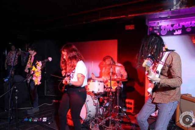 Crónica Proyecto Waikiki