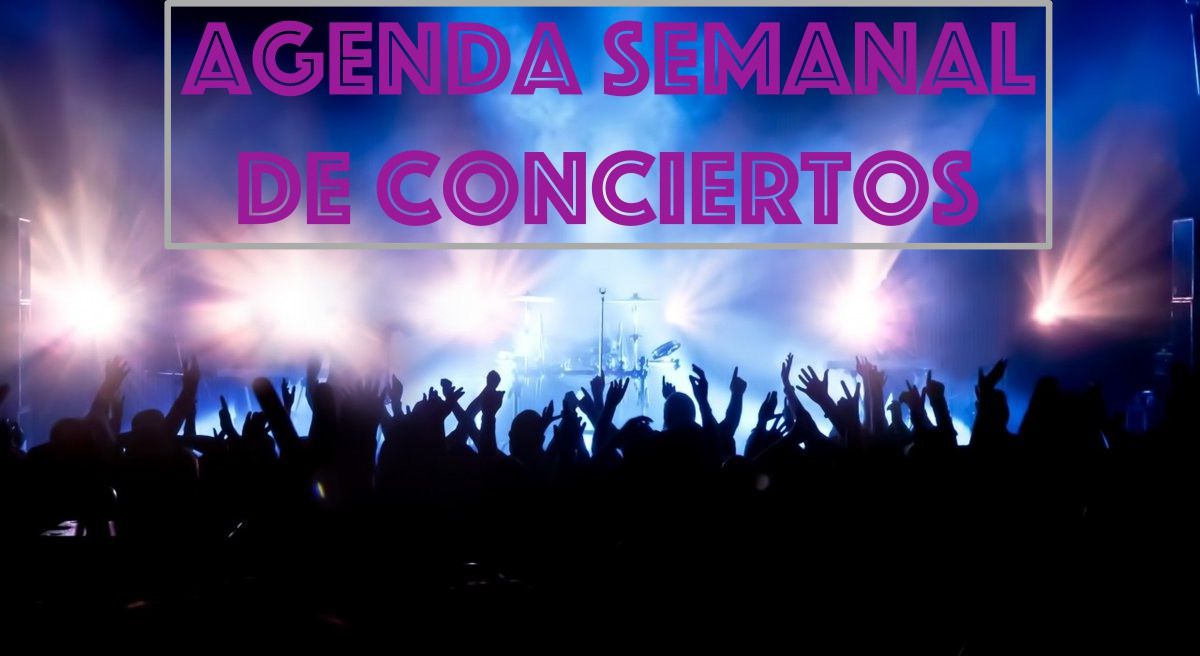 Agenda semanal de conciertos del 19 al 25 de noviembre