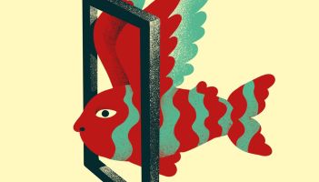 Vivimos el regreso de Maga