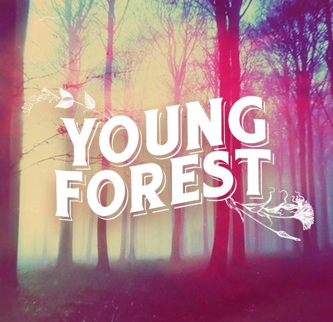 Young Forest prepara nuevo disco