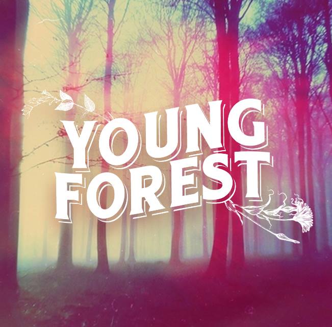 No te pierdas el crowdfunding de Young&nbsp;Forest