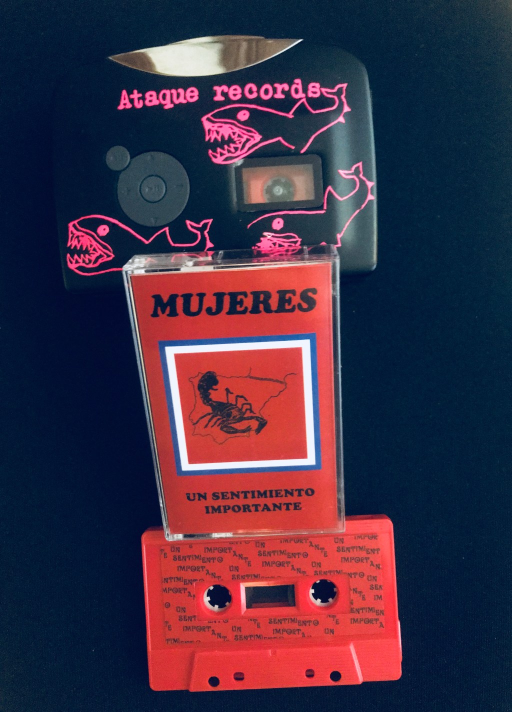 El nuevo disco de Mujeres en Cassete.