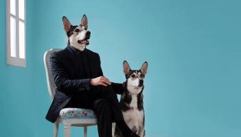 Stereozone llegan a Madrid