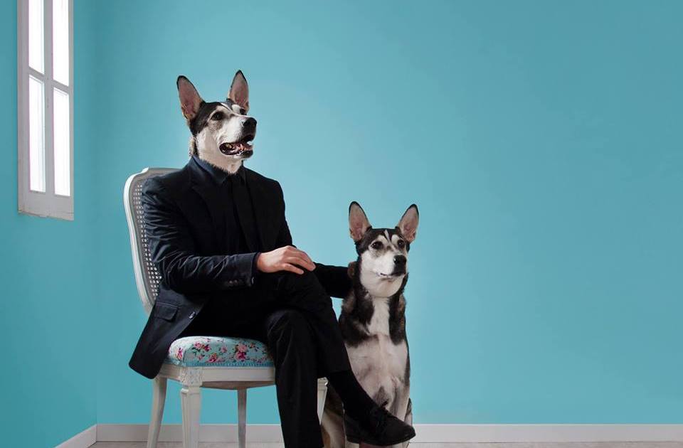 Stereozone llegan a Madrid