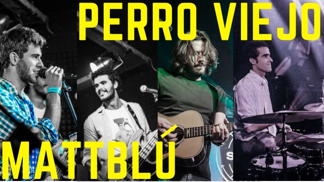 Miniatura Perro Viejo Yotube 2