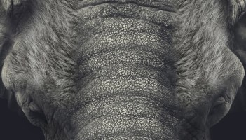 Asier Etxeandia presenta su nuevo proyecto