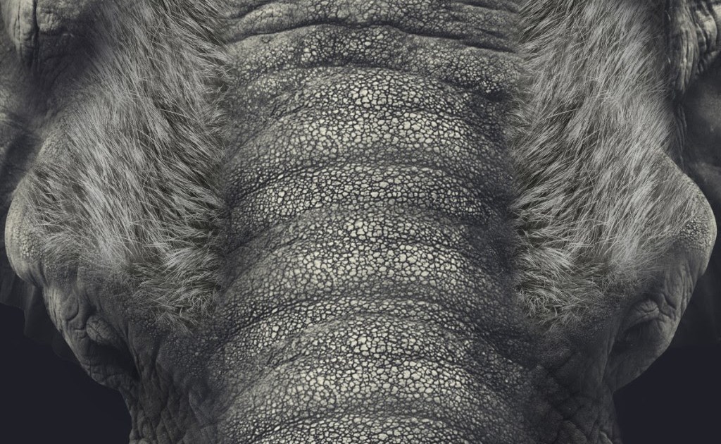 Asier Etxeandia presenta su nuevo proyecto