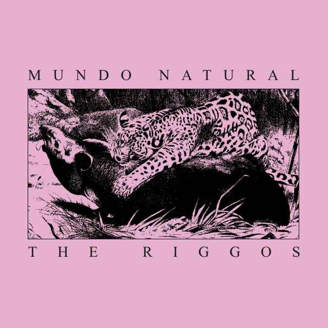 CARATULA MUNDO NATURAL FINAL