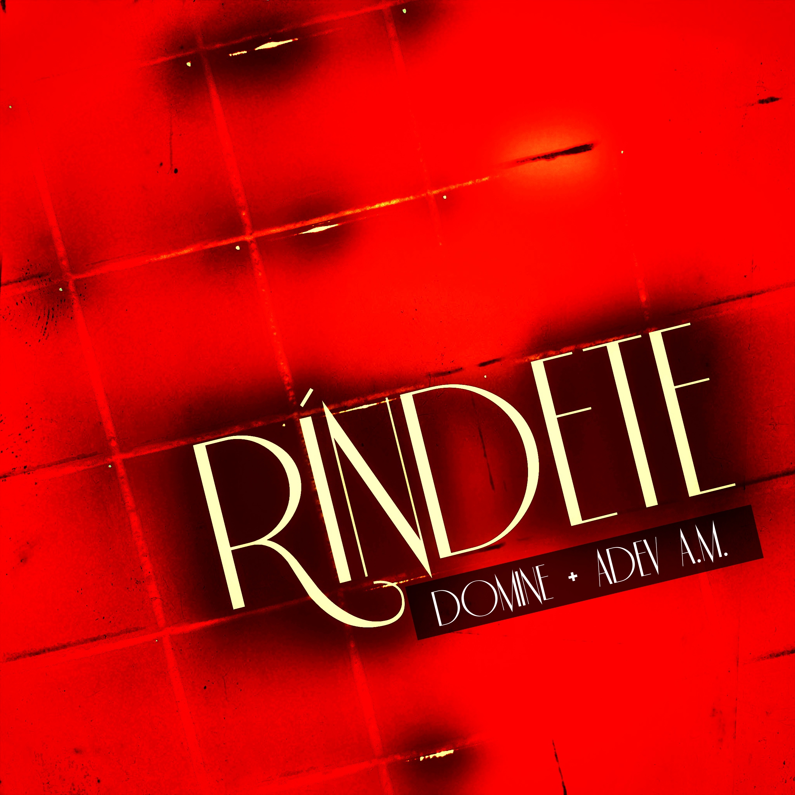 1000040029_20240711224937655