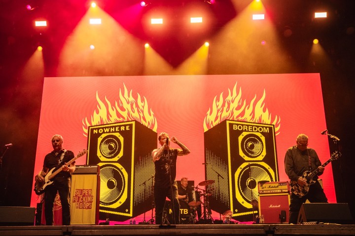 Foto de la organización 